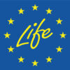 life logo